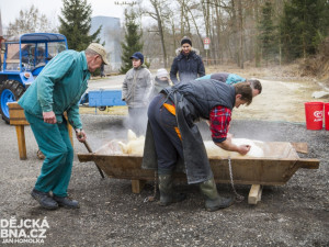 Masopust spojený se zabíjačkou v Boršově nad Vltavou