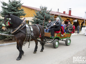 Masopust spojený se zabíjačkou v Boršově nad Vltavou