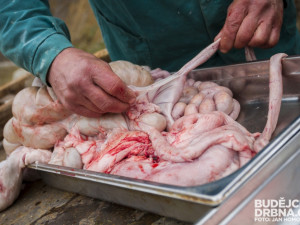 Masopust spojený se zabíjačkou v Boršově nad Vltavou