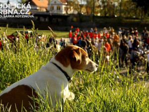 Velká jarní cyklojízda 2014