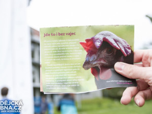 Red Bull Gravity Challenge 2014