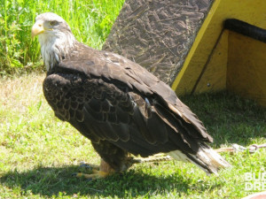 15. Hornické slavnosti v Rudolfově