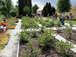 Borůvková zahrada v sousedství prelatury