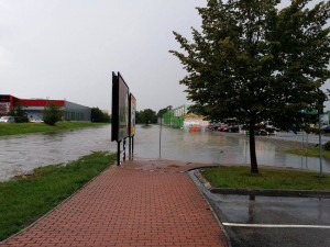 Terno. Foto Bohumil Blahoš