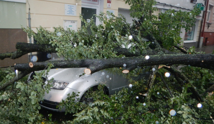 Pád větve stromu na zaparkovaná auta v ulici Československých legií. Foto HZS Jihočeského kraje