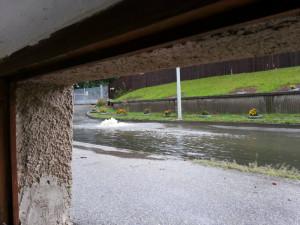 Čína. Foto Radim Sejk