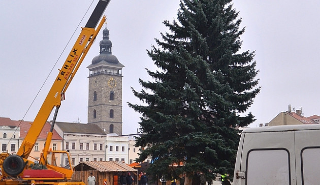 Budějcké náměstí už zdobí vánoční strom
