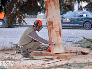 Budějcké náměstí už zdobí vánoční strom
