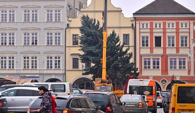 Budějcké náměstí už zdobí vánoční strom