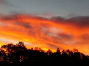 Foto: Matyáš Růta