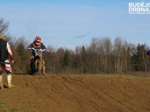 Závod o vánočního kapra