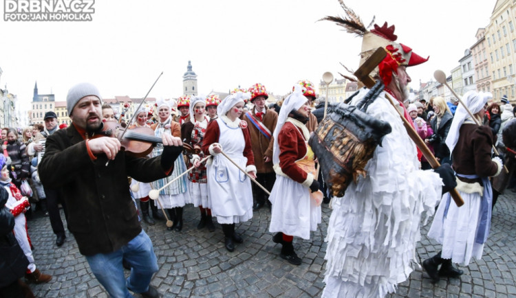 Masopust v Budějcích