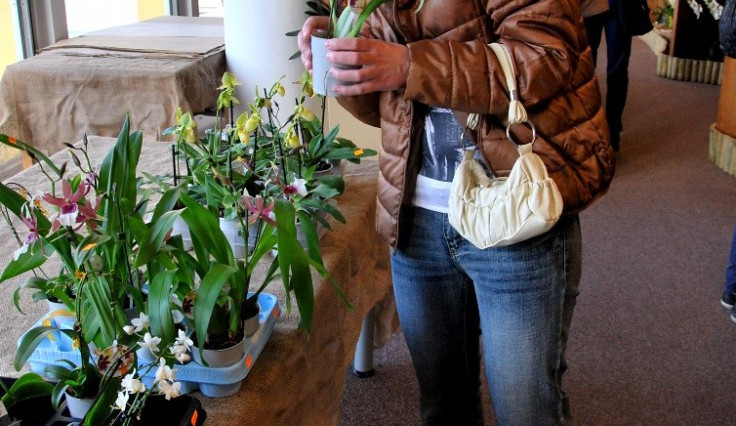 Výstava orchidejí v DK Metropol