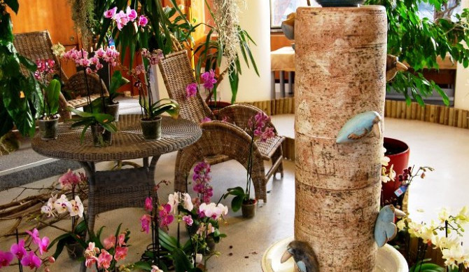 Krokodýli ozvláštňují letošní výstavu orchidejí v Metropolu