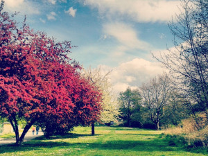 U Malého jezu. Foto: Anna Kořenská