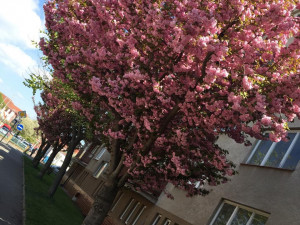 Generála Svobody. Foto: Bezedný Frank