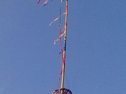 Jaronice. Foto: Majda Tučková