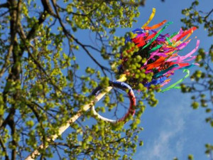 Srubec. Foto: Kusbach