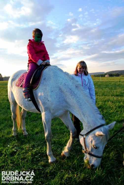 Koníkům se jezdit nechtělo, ale dětem ano