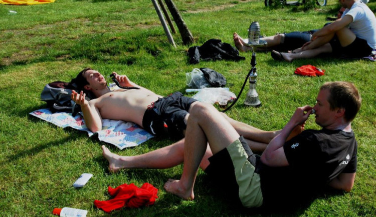 Dračí lodě - Lipno 2015