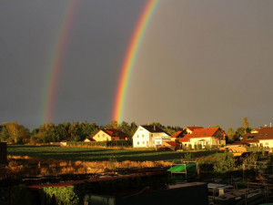 Zuzana Havlíčková