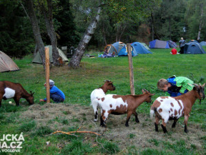 Šumava se vším všudy