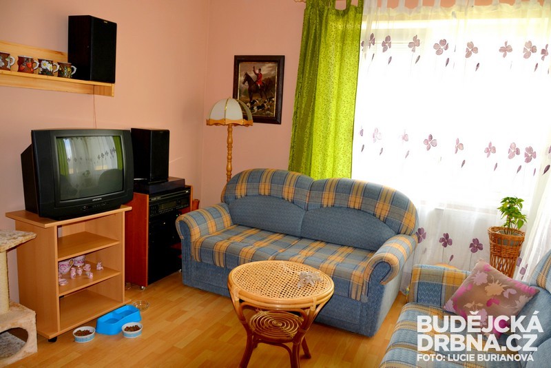 Alzheimercentrum a Seniorcentrum České Budějovice