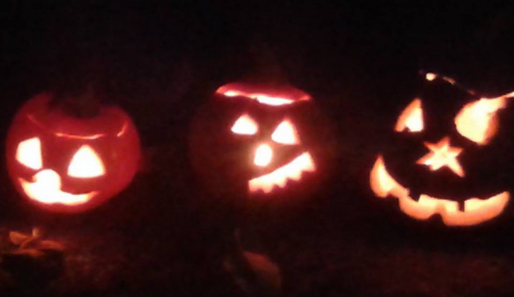 Veronika Stulíková