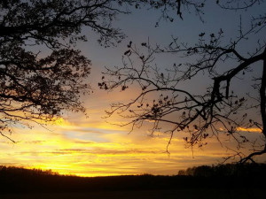 Veronika Sklopíková