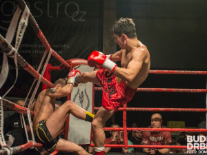 Pardál Gladiators Night 2015