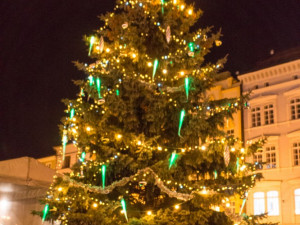 Rozsvícení vánočního stromu