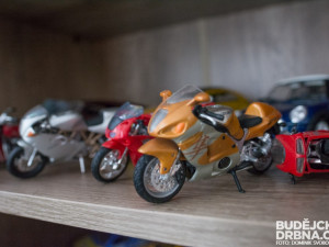 Ve sbírce má přes 600 kusů modelů