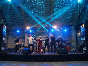 Jihočeský ples 2016