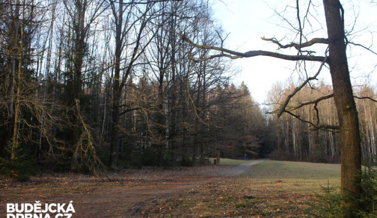 Jihočeské toulky: Trocnov