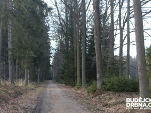 Jihočeské toulky: Trocnov