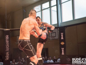 Amatérské mistrovství ČR v MMA