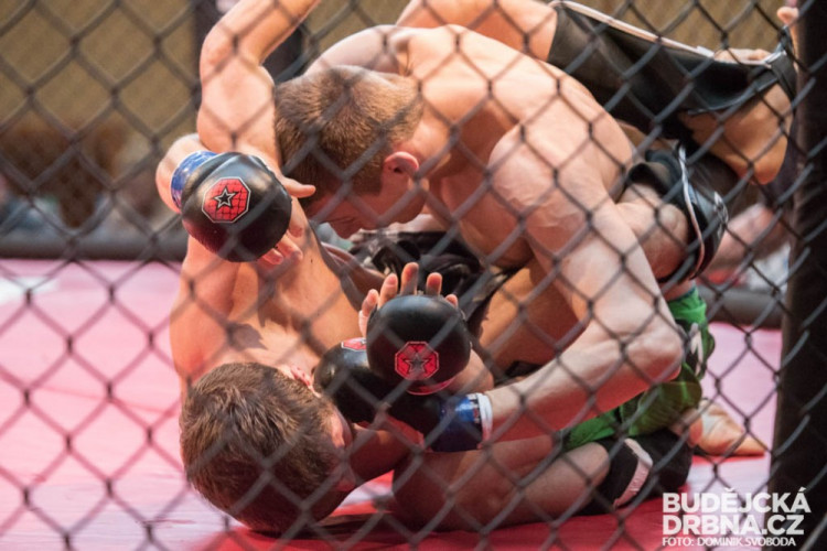 Amatérské mistrovství ČR v MMA