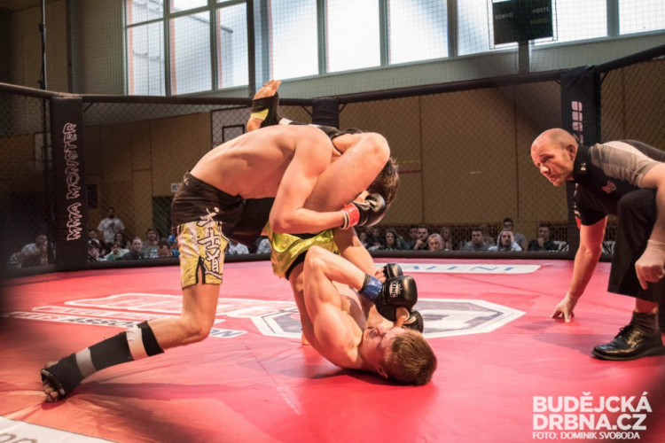 Amatérské mistrovství ČR v MMA
