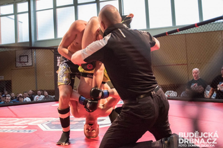 Amatérské mistrovství ČR v MMA