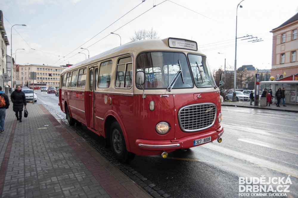 Dopravní podnik rozdával ženám růže k MDŽ