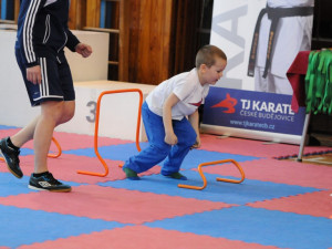 TJ Karate připravila soutěž pro přípravky