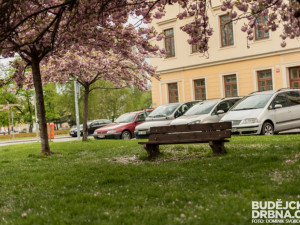 Rozkvetlé Budějce - první máj