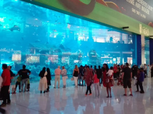 RHL v Dubaji