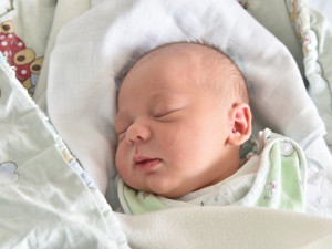 Ella Pavlíčková (České Budějovice)