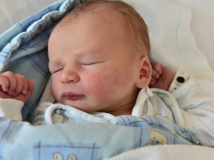 Štěpán Řiháček (Ločenice)