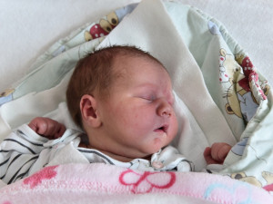 Sofie Kalenová (Trhové Sviny)