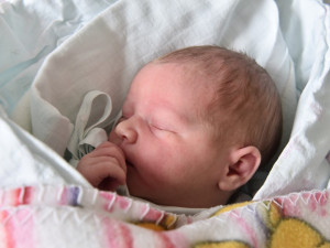 Viktorie Balíková (Buková u Nových Hradů)