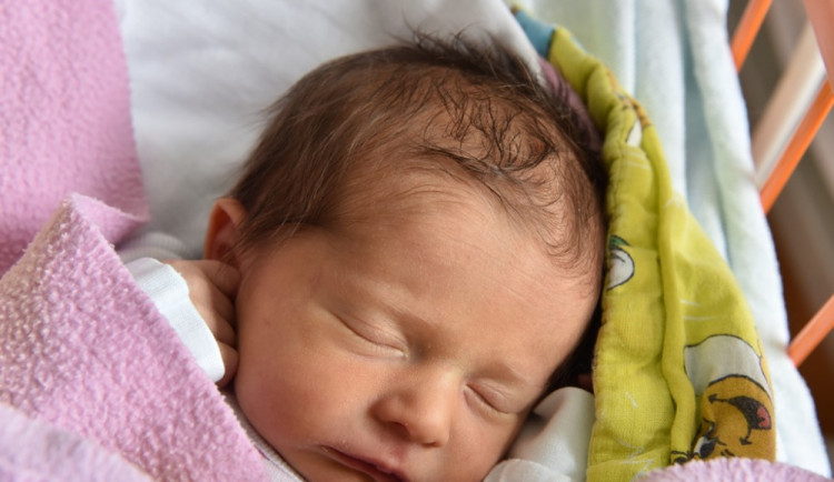 Nina Brožová (Třeboň)