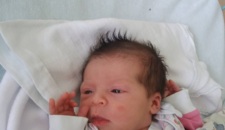 Štěpánka Mazáková