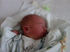 Martin Pešák (Borovany)